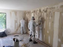 Best Basement Mold Removal  in Tolono, IL